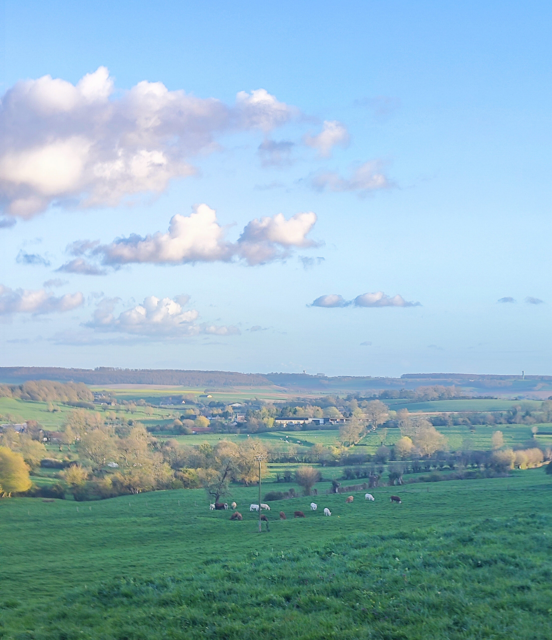 Communauté de communes des 4 Rivières en Bray